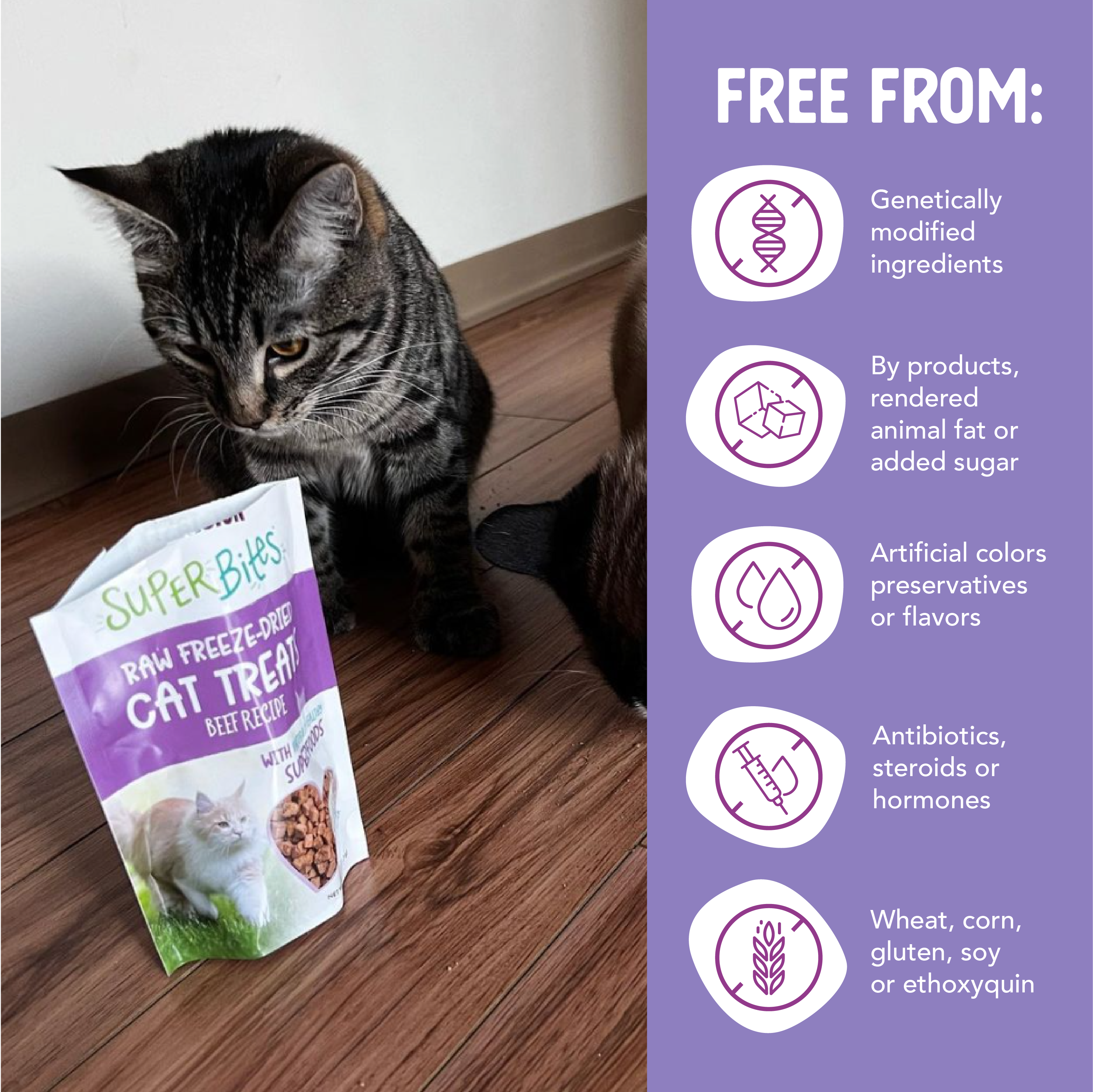 Health Extension Pet Care - SuperBites Freeze Dried Raw - Beef Recipe (Cat): 0.75oz